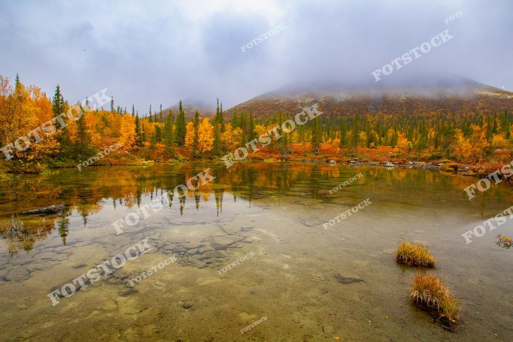 На фотографии изображено озеро с прозрачной водой, у берегов которого растёт осенний лес. Горы Хибин скрыты в тумане, добавляя пейзажу загадочности и уединения. Это северный пейзаж Кольского полуострова, передающий спокойствие природы.